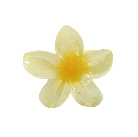 plumeria clip in honey